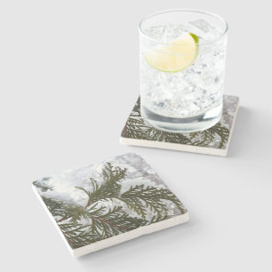Dessous-de-verre En Pierre Neige sur les branches À feuillage persistant