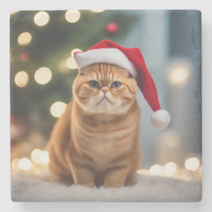 Dessous-de-verre En Pierre Noël Exotique Shorthair