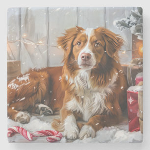 Dessous-de-verre En Pierre Nova Scotia Duck Tolling Retriever de Noël Festif