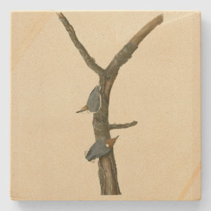 Dessous-de-verre En Pierre Nuthatch à tête Brown - Audubon's Birds of America