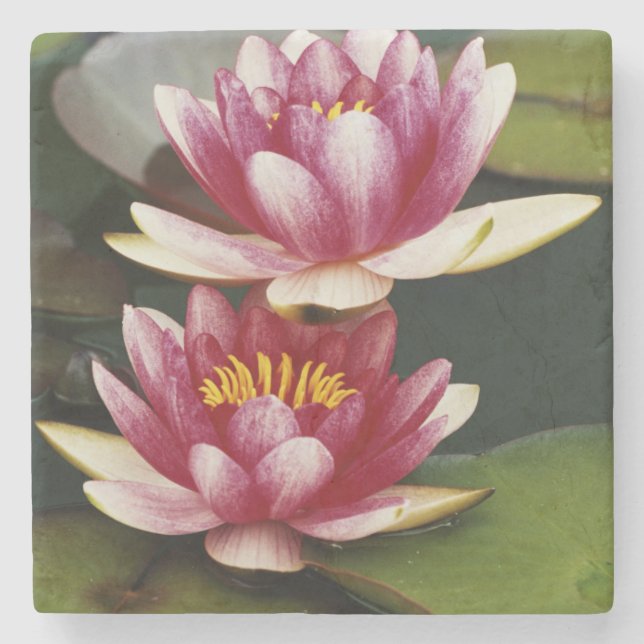Dessous-de-verre En Pierre Nymphéas hybrides (Devant)
