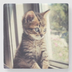 Dessous-de-verre En Pierre Observation tigrée de chaton
