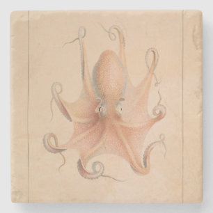 Dessous-de-verre En Pierre Octopus vintage 1851 Eledon Aldrovandi