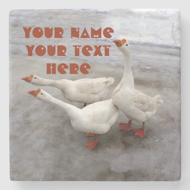 Dessous-de-verre En Pierre Oie blanche (Devant)
