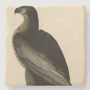 Dessous-de-verre En Pierre Oiseau de Washington d'Audubon's Birds of America
