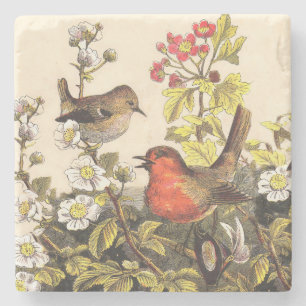Dessous-de-verre En Pierre Oiseaux de printemps Robin Oiseaux rouges