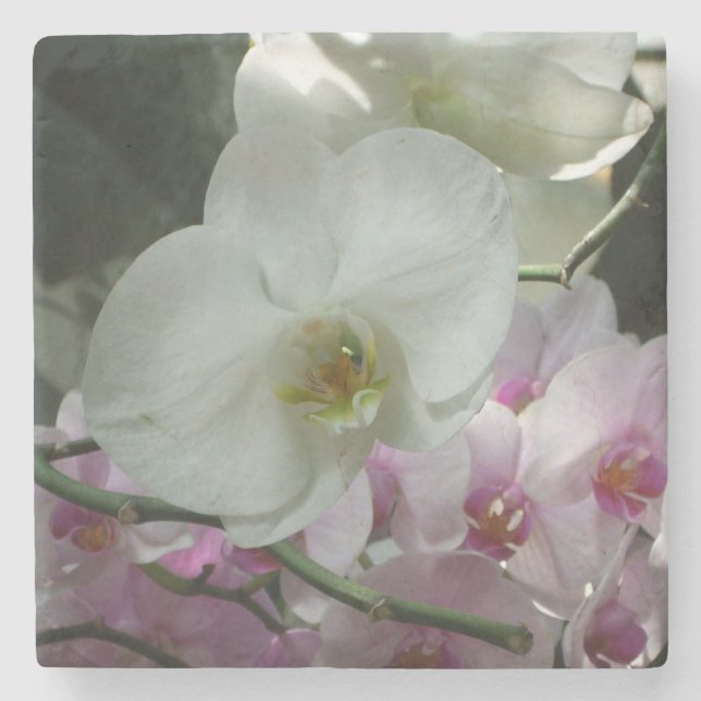 Dessous-de-verre En Pierre Orchidées blanches et violettes (Devant)