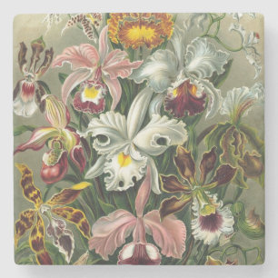 Dessous-de-verre En Pierre Orchidées Vintages - Les formes artistiques de la