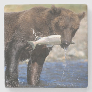 Dessous-de-verre En Pierre Ours brun, grizzly, avec prise de saumon,
