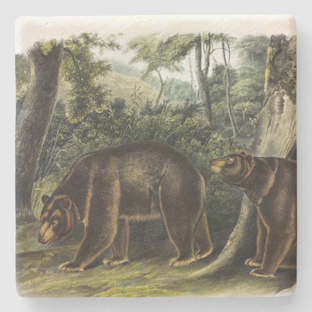Dessous-de-verre En Pierre Ours de cannelle des Quadrupeds d'Audubon (Devant)