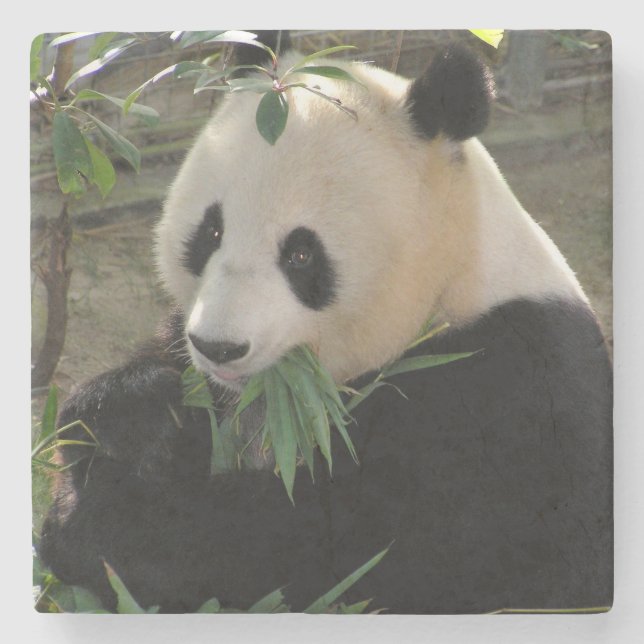 Dessous-de-verre En Pierre Ours de panda géant (Devant)