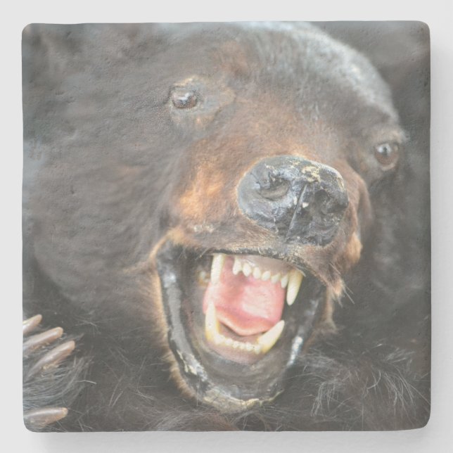 Dessous-de-verre En Pierre Ours effrayant (Devant)