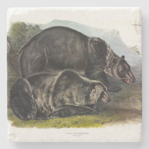 Dessous-de-verre En Pierre Ours grizzli (Ours Brown nord-américain) - Audubon