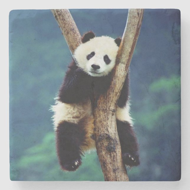 Dessous-de-verre En Pierre Ours Panda (Devant)