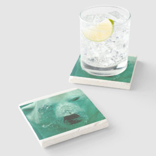 Dessous-de-verre En Pierre Ours Polaire Animal Arctique Nord Mignon Fantaisis