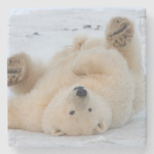 Dessous-de-verre En Pierre ours polaire, Ursus maritimus, ourson roulant 3