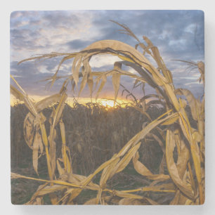 Dessous-de-verre En Pierre Ozarks Harvest