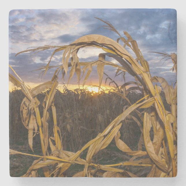Dessous-de-verre En Pierre Ozarks Harvest (Devant)