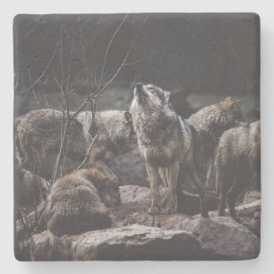 Dessous-de-verre En Pierre Pack Wolf