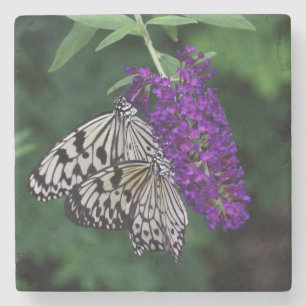 Dessous-de-verre En Pierre Paire de papillons de cerf-volant en papier