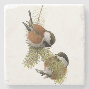Dessous-de-verre En Pierre Paires de Chickadee Châtaigne-soutenu sur le pin