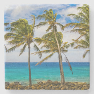 Dessous-de-verre En Pierre Palmiers à noix de coco (Cocos nucifera) se balanç