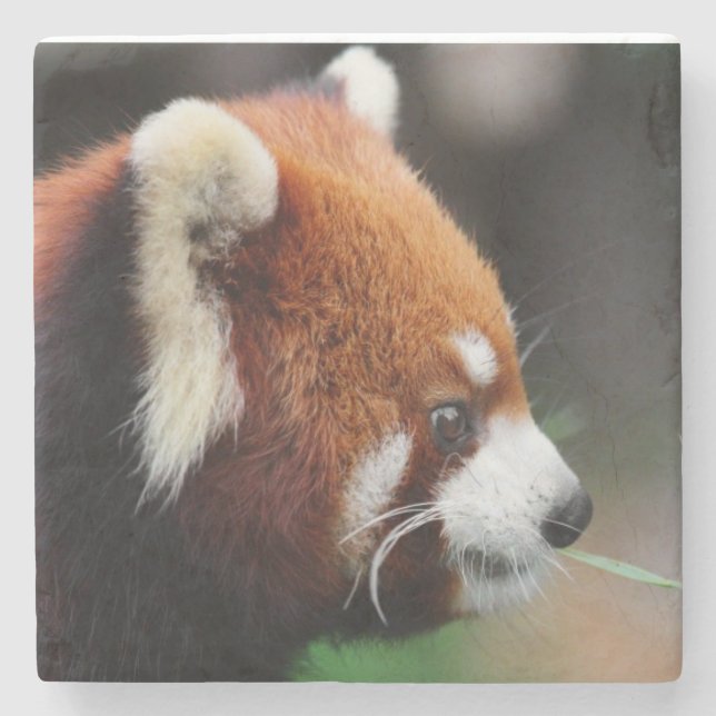 Dessous-de-verre En Pierre Panda rouge (Devant)