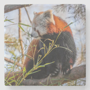 Dessous-de-verre En Pierre Panda rouge