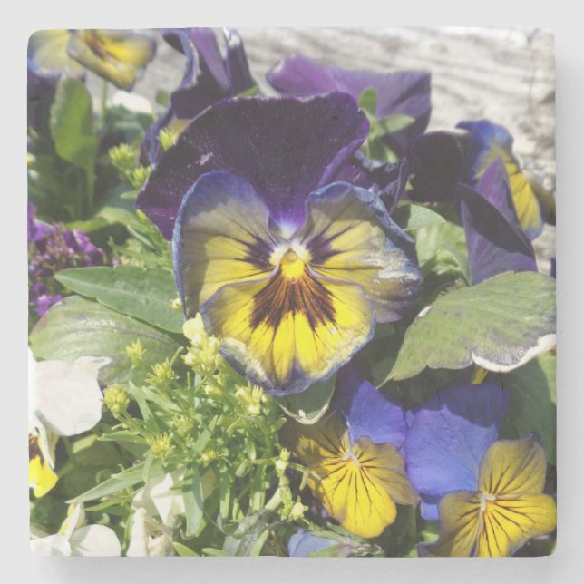DESSOUS-DE-VERRE EN PIERRE PANSIES ! (Devant)