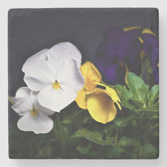 Dessous-de-verre En Pierre Pansies jaune et violet blanc (Devant)