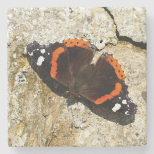 Dessous-de-verre En Pierre Papillon - Amiral rouge