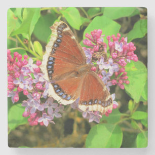 Dessous-de-verre En Pierre Papillon Brown avec points bleus sur Lilacs