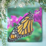 Dessous-de-verre En Pierre Papillon monarque orange photo fleur violette auda<br><div class="desc">Photo de fond d'un papillon de monarque délicat, orange et noir posé sur une fleur de magenta vive. Explorez les pensées des jours chauds et ensoleillés pendant que vous vous détendez avec votre boisson préférée tout en utilisant ce magnifique dessous de verre en pierre photographique coloré. Fait un grand cadeau...</div>