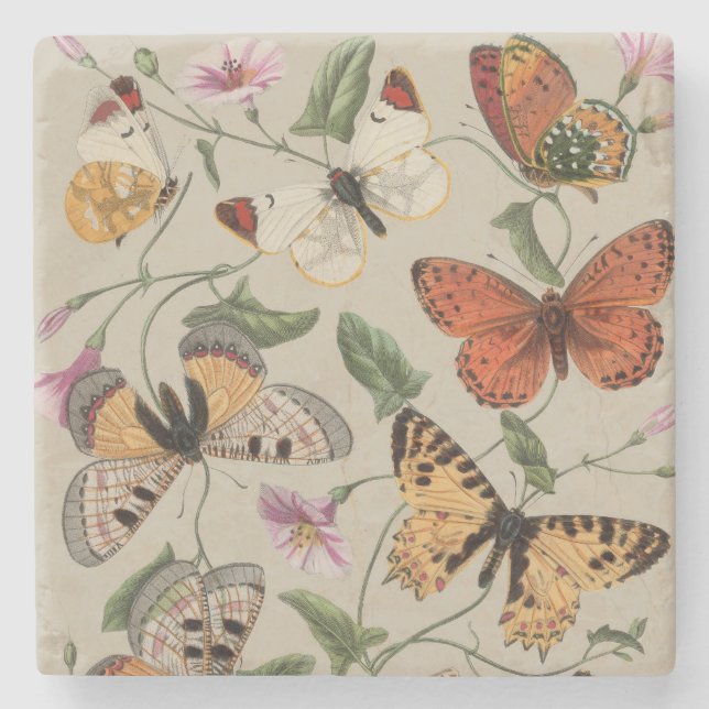 Dessous-de-verre En Pierre Papillon Moth Nature Collection Dessin (Devant)