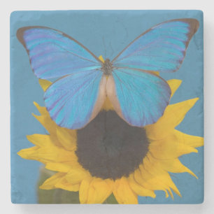 Dessous-de-verre En Pierre Papillon sur tournesol