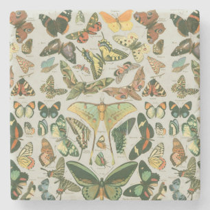 Dessous-de-verre En Pierre Papillon Vintage Papillons d'antiquités Motif