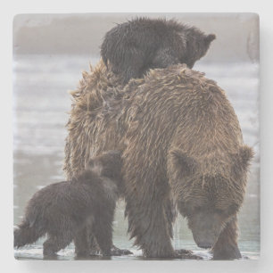 Dessous-de-verre En Pierre Parc national de Clark de lac bear Brown