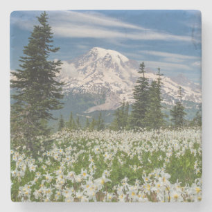 Dessous-de-verre En Pierre Parc national du Mont Rainier 1