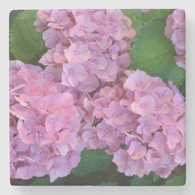 Dessous-de-verre En Pierre Pastel rose Hortensia hydrangea fleurs (Devant)