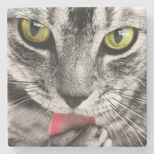 Dessous-de-verre En Pierre Paw de cueillette de chat Tabby (Devant)
