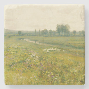 Dessous-de-verre En Pierre Paysage de prairie étendu avec oies