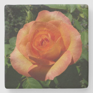 Dessous-de-verre En Pierre Peach Rose Orange Floral Photographie