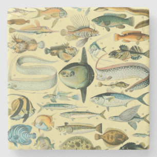 Dessous-de-verre En Pierre Pêche scientifique vintage