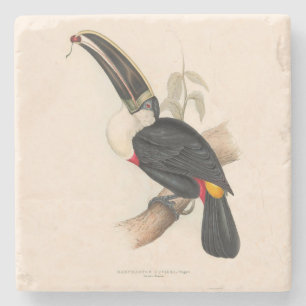 Dessous-de-verre En Pierre Peinture animalière d'antiquités Toucans