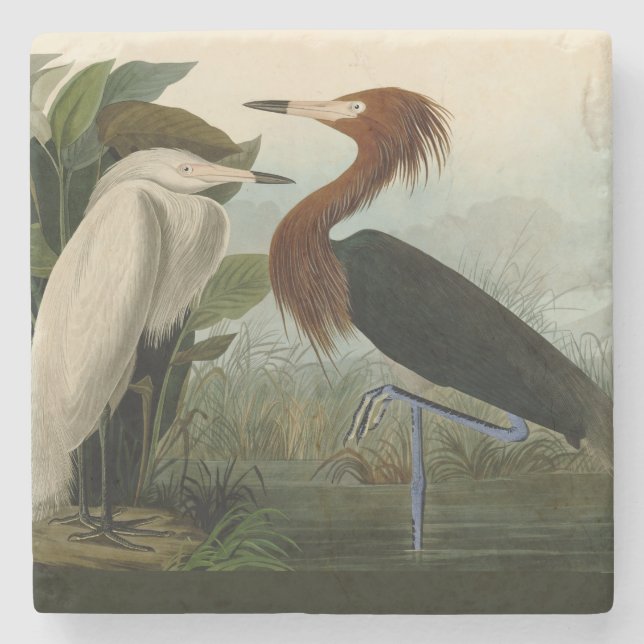 Dessous-de-verre En Pierre Peinture de la faune d'Audubon Heron violet (Devant)