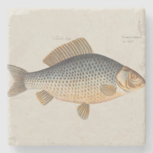 Dessous-de-verre En Pierre peinture de pêche de carpe dessin d'eau douce