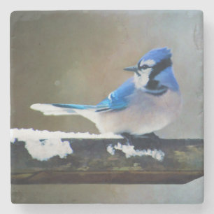 Dessous-de-verre En Pierre Peinture Jay Bleu - Art Oiseau Original