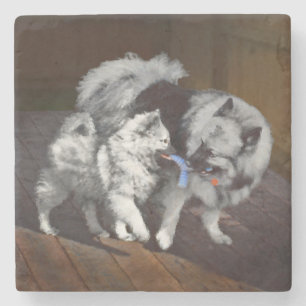 Dessous-de-verre En Pierre Peinture Keeshond Playtime - Jolie art original ch