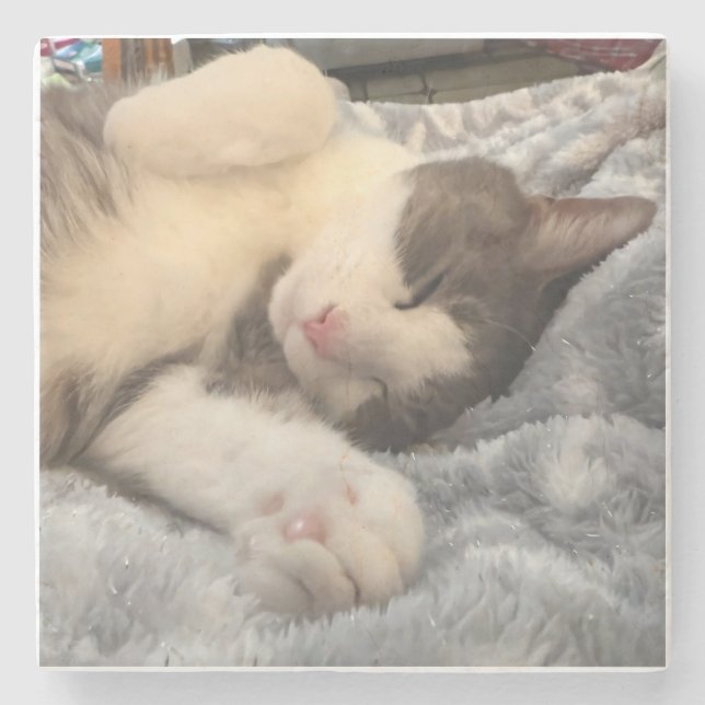 Dessous-de-verre En Pierre Personalized Cat Photo Pet Lover Gift (Devant)