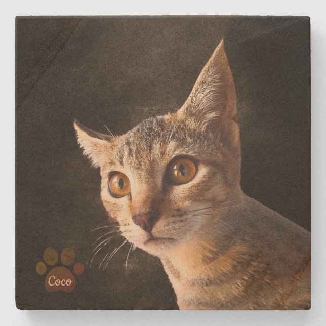 Dessous-de-verre En Pierre Personnalisé Cute Animal Kitten Chat Chien Modèle  (Devant)